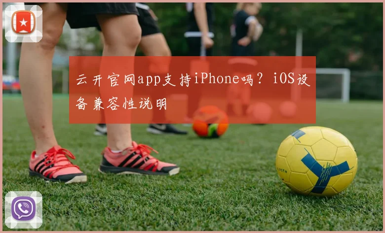 云开官网app支持iPhone吗？iOS设备兼容性说明