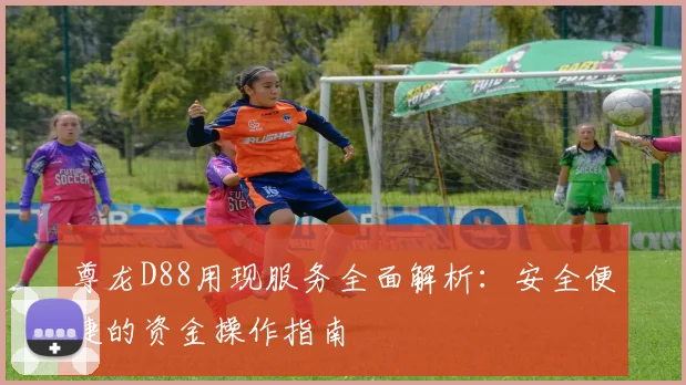 尊龙D88用现服务全面解析：安全便捷的资金操作指南