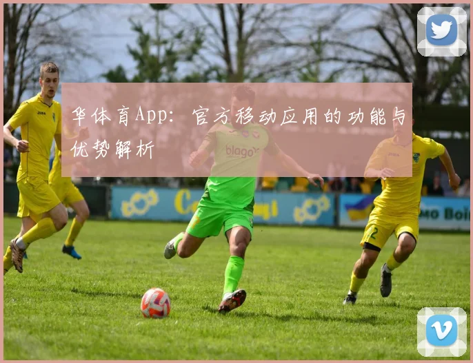 华体育App：官方移动应用的功能与优势解析