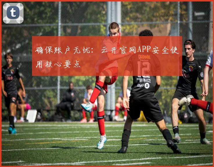 确保账户无忧：云开官网APP安全使用核心要点