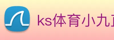 ks体育小九直播 logo